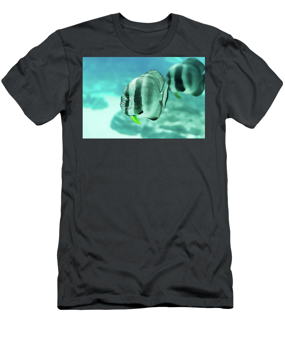 Aquarium T-Shirt featuring the photograph Little Angels by Janet Fikar