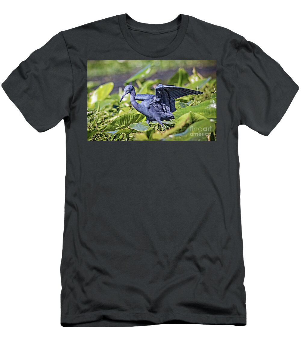 Nature T-Shirt featuring the photograph Little Blue Heron Hunting - Egretta Caerulea by DB Hayes