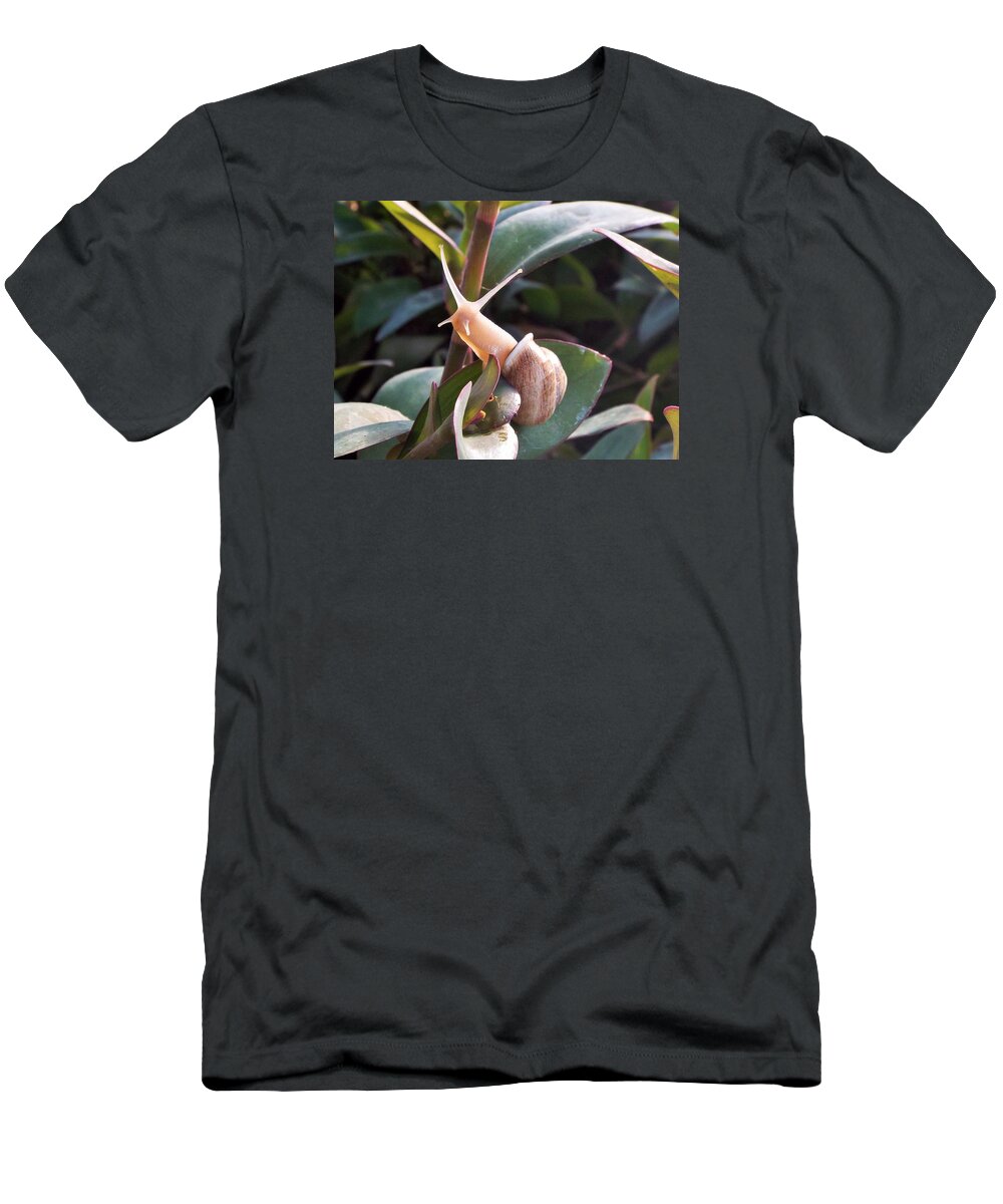 Snail T-Shirt featuring the photograph little Victory by Michael Dillon