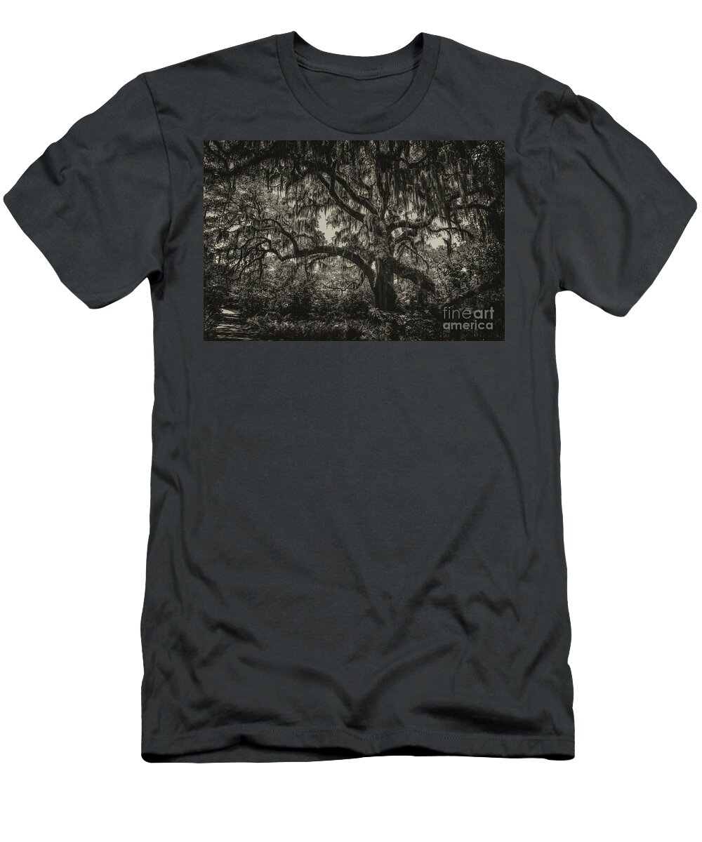 Live Oak Tree T-Shirt featuring the photograph Live Oak Tree Sepia by Dale Powell