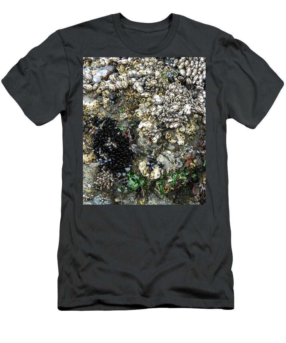 Oregon T-Shirt featuring the photograph Live Shells by Gallery Of Hope 