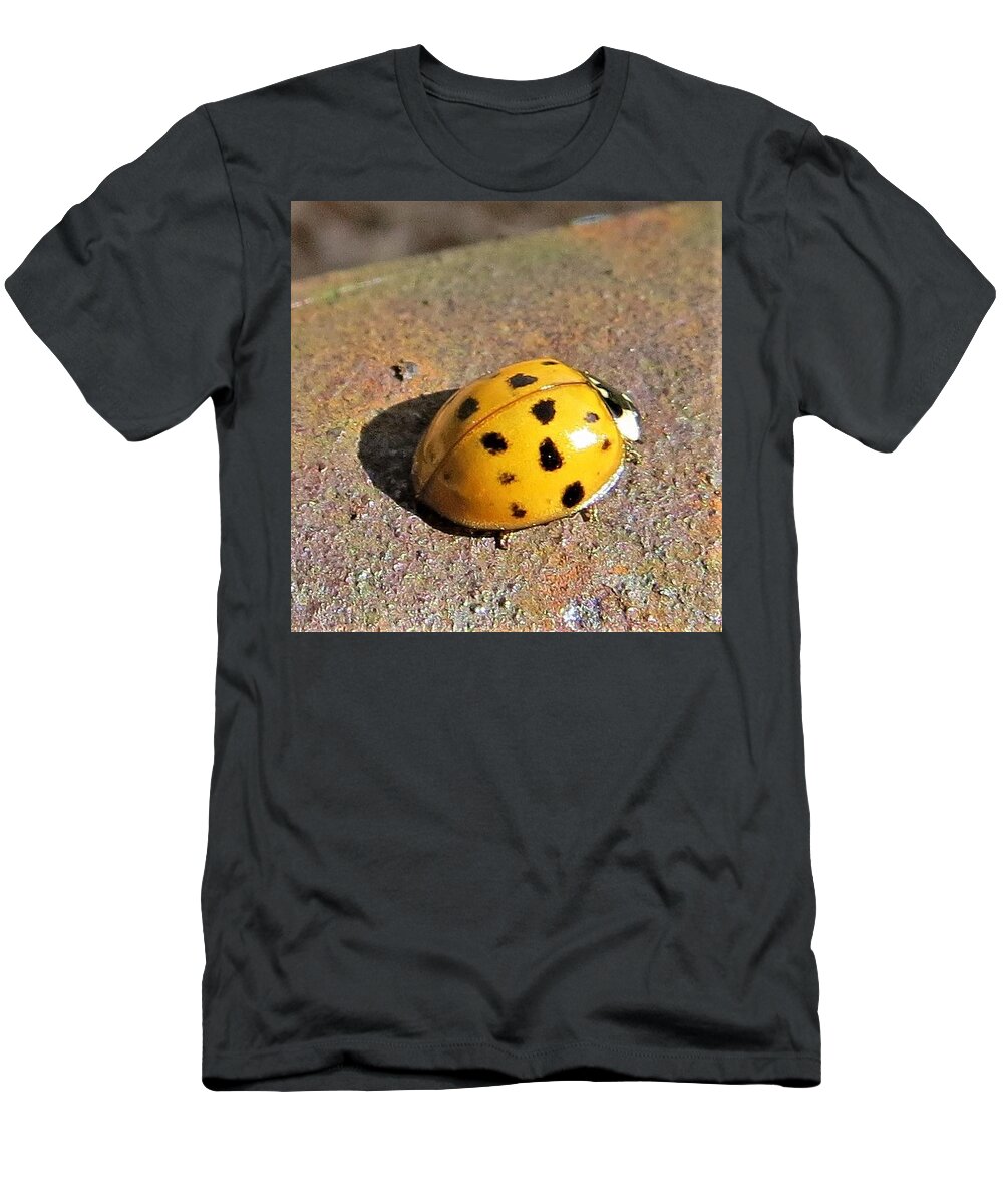 Insects T-Shirt featuring the photograph Live Yellow Ladybug by Jeanette Oberholtzer