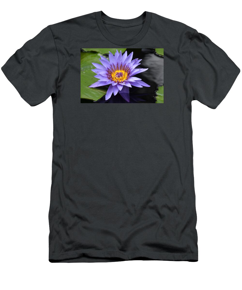 Living Beauty T-Shirt featuring the photograph Living Beauty by Maria Urso