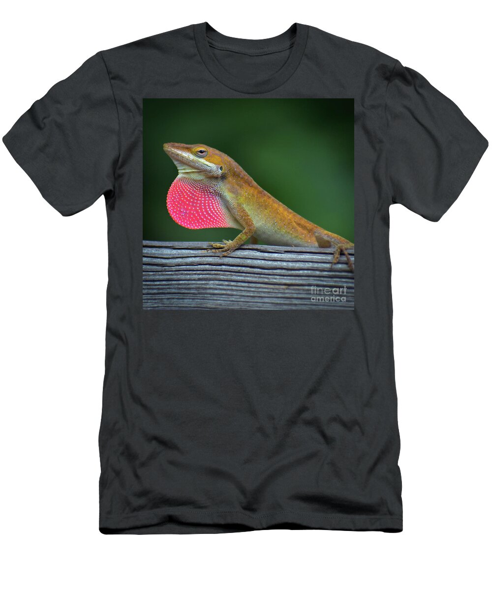 Animals T-Shirt featuring the photograph Lizardry by Skip Willits