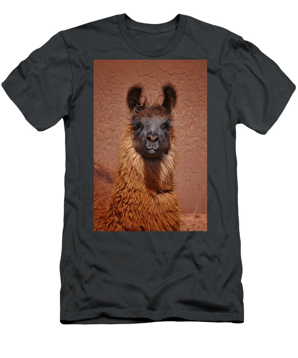 Llama T-Shirt featuring the photograph Llama by Skip Hunt