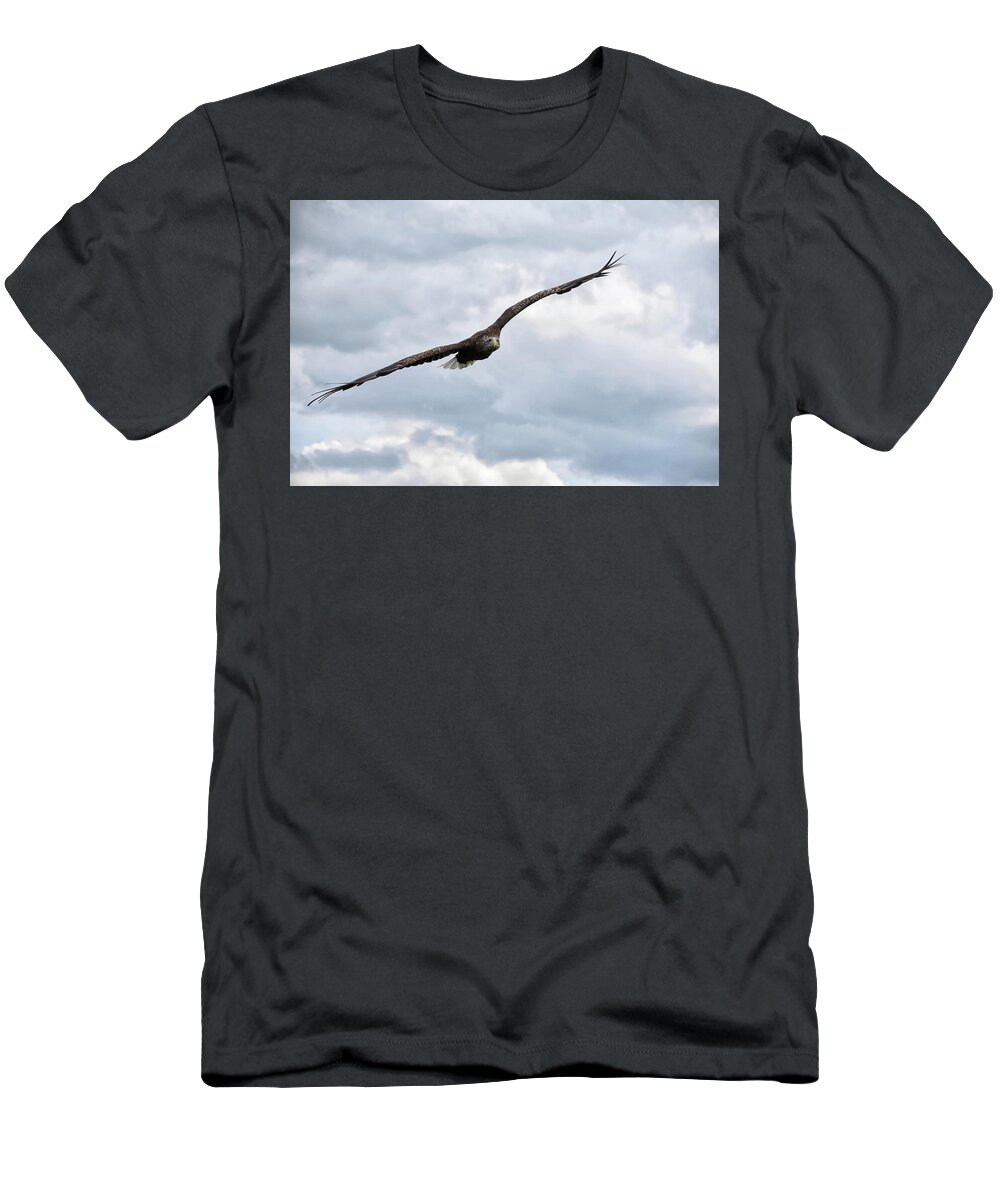 Eagle T-Shirt featuring the photograph Locked On by Kuni Photography