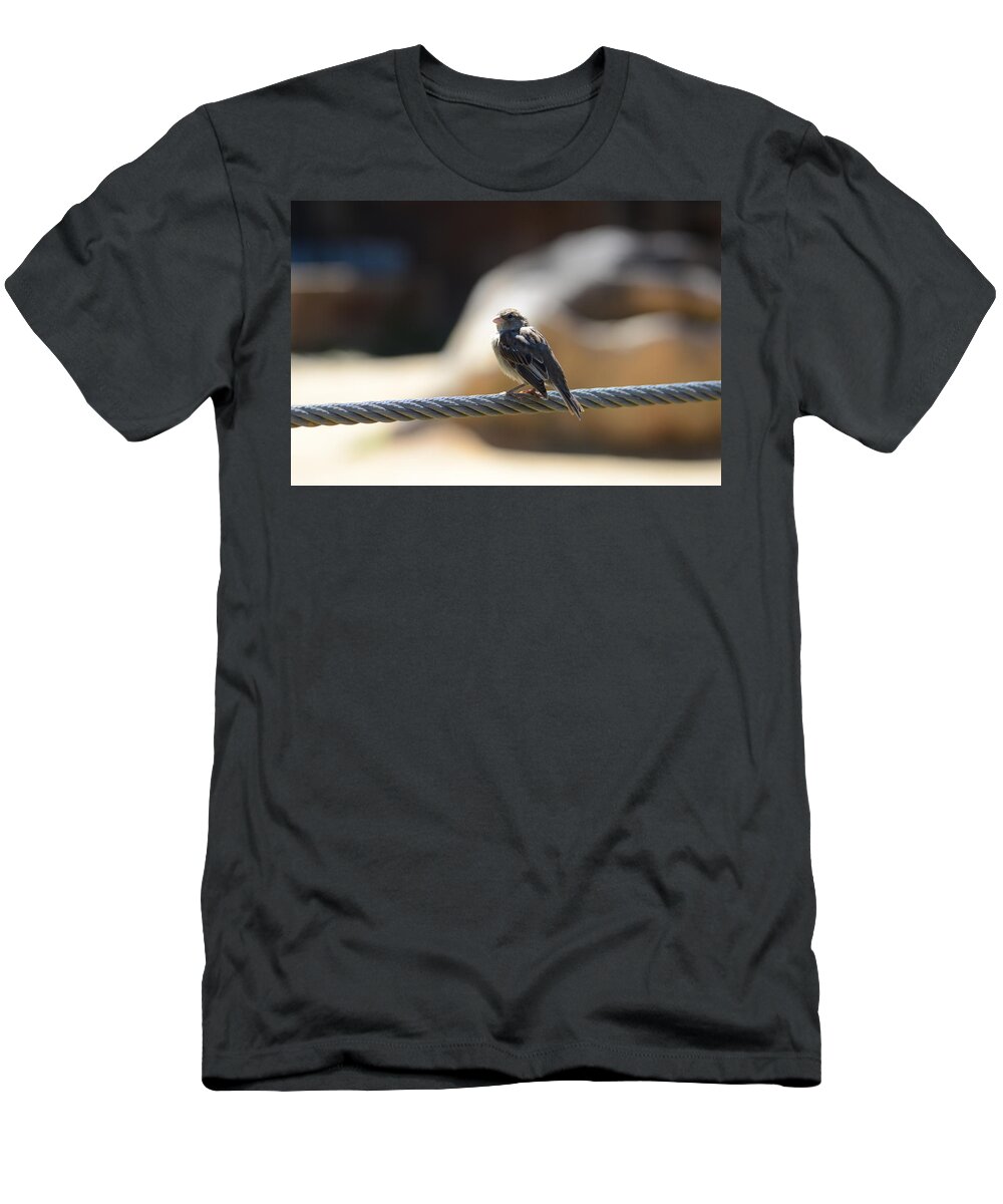 Bird T-Shirt featuring the photograph The Sentry by Chuck Brown