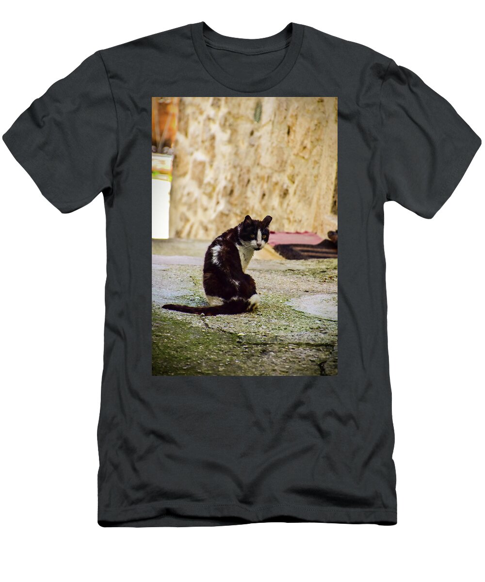 Cat T-Shirt featuring the photograph Lone Cat by Alessandro Della Pietra