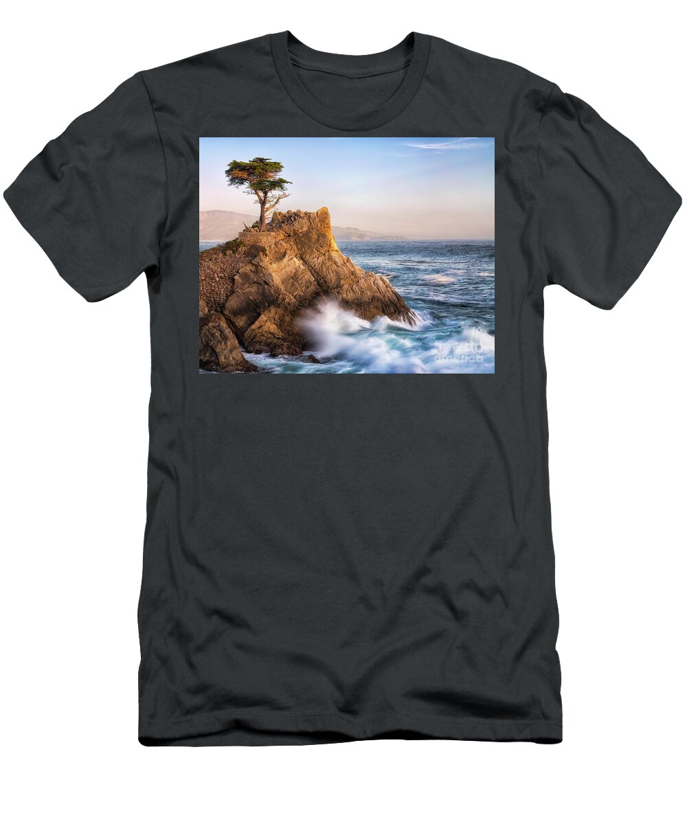 Lone Cypress T-Shirt featuring the photograph Lone Cypress by Anthony Michael Bonafede