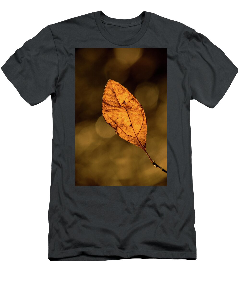 Lone T-Shirt featuring the photograph Lone Leaf Radiant in Sunshine by Douglas Barnett