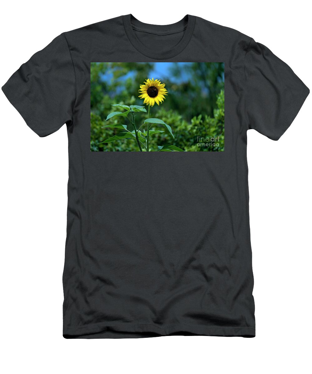 Sunflower T-Shirt featuring the photograph Lone Sunflower by Sam Rino