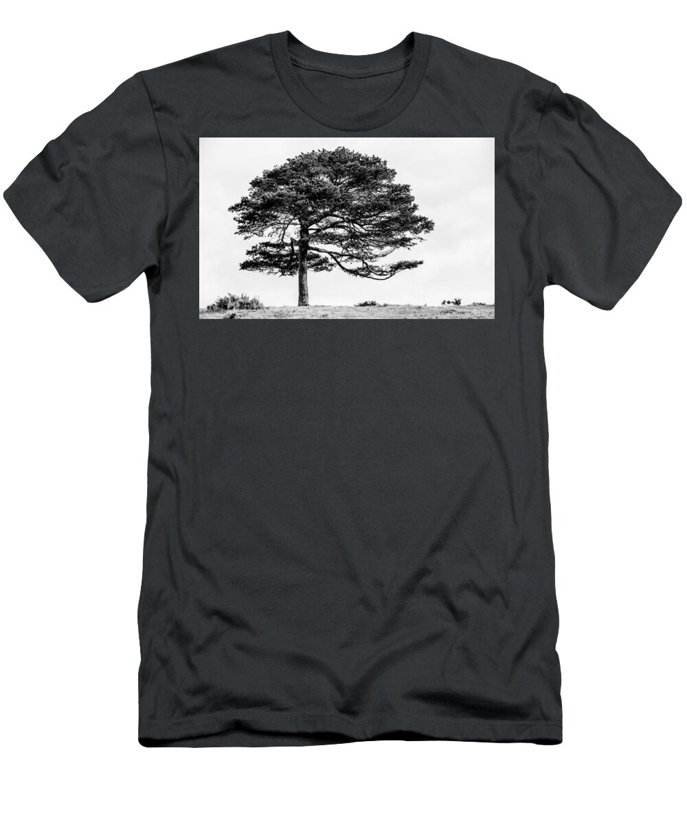 Tree T-Shirt featuring the photograph Lone Tree by Helen Jackson