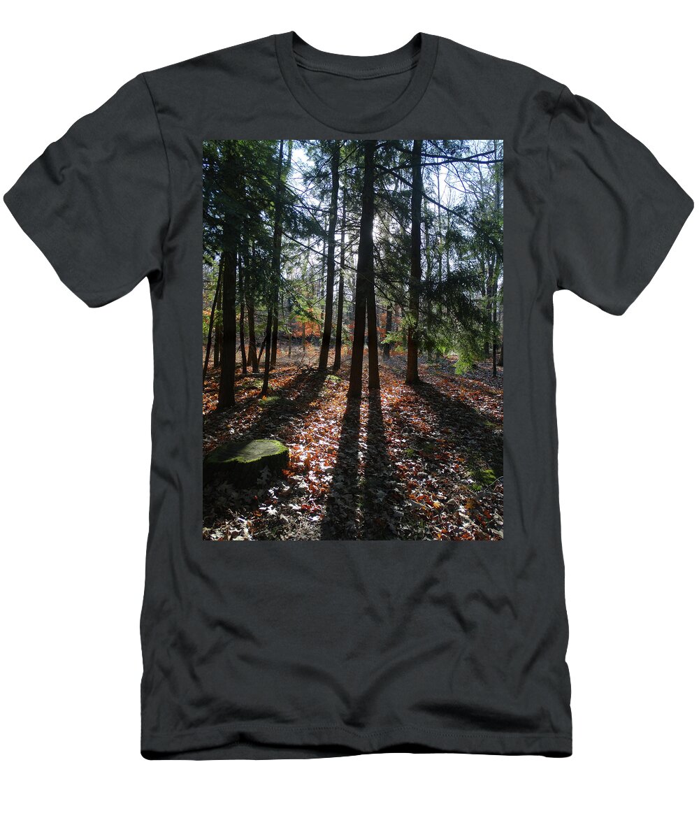 Peninsula State Park T-Shirt featuring the photograph Long Shadows in the Woods by David T Wilkinson