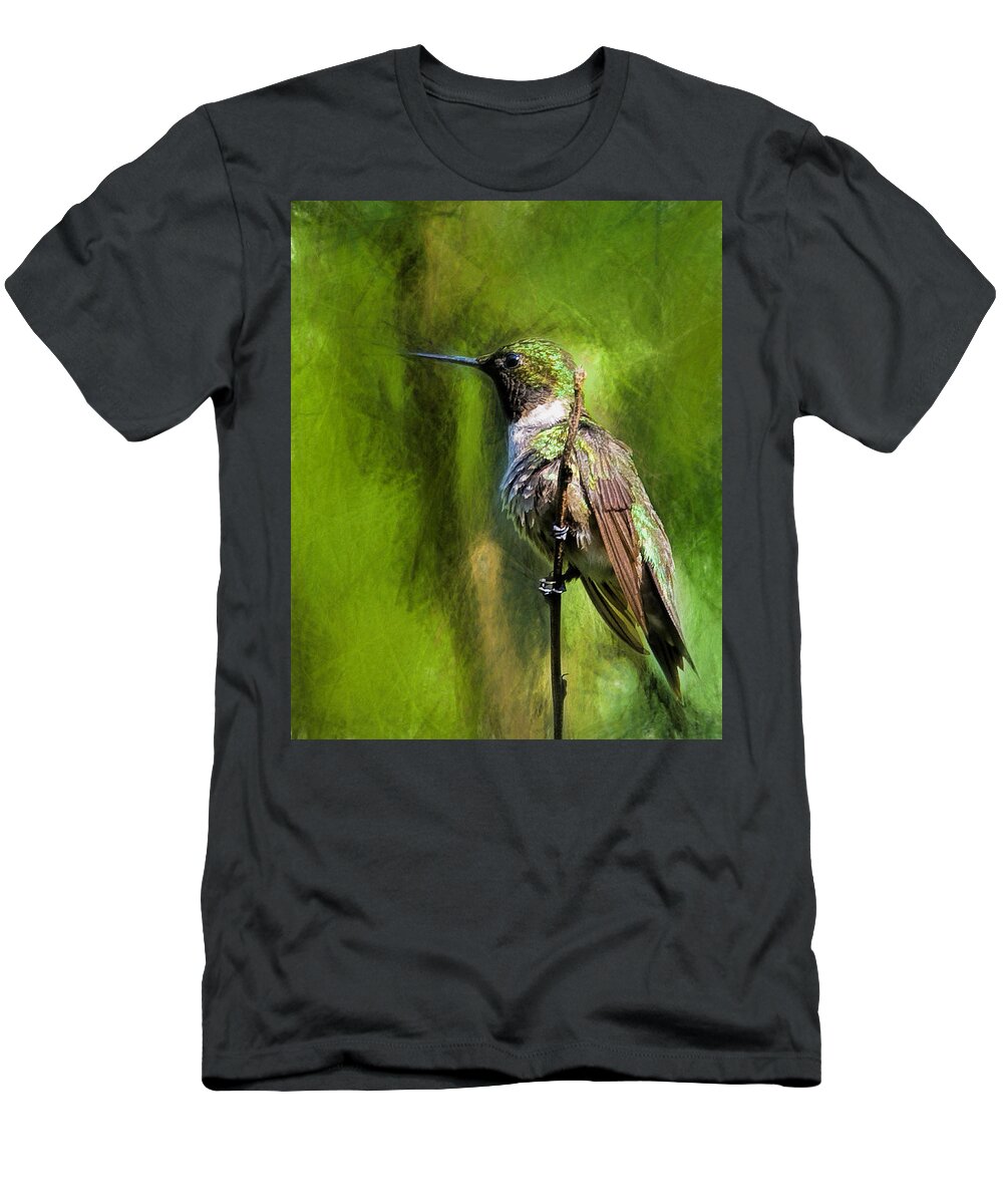 Humming Bird T-Shirt featuring the photograph Look At Me by Steven Richardson