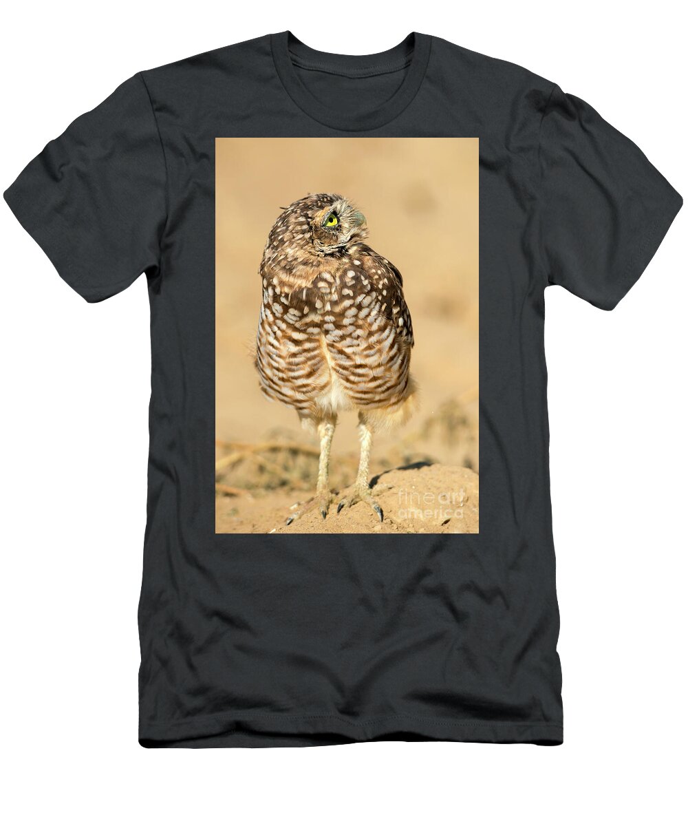 Owl T-Shirt featuring the photograph Look Up by Michael Dawson
