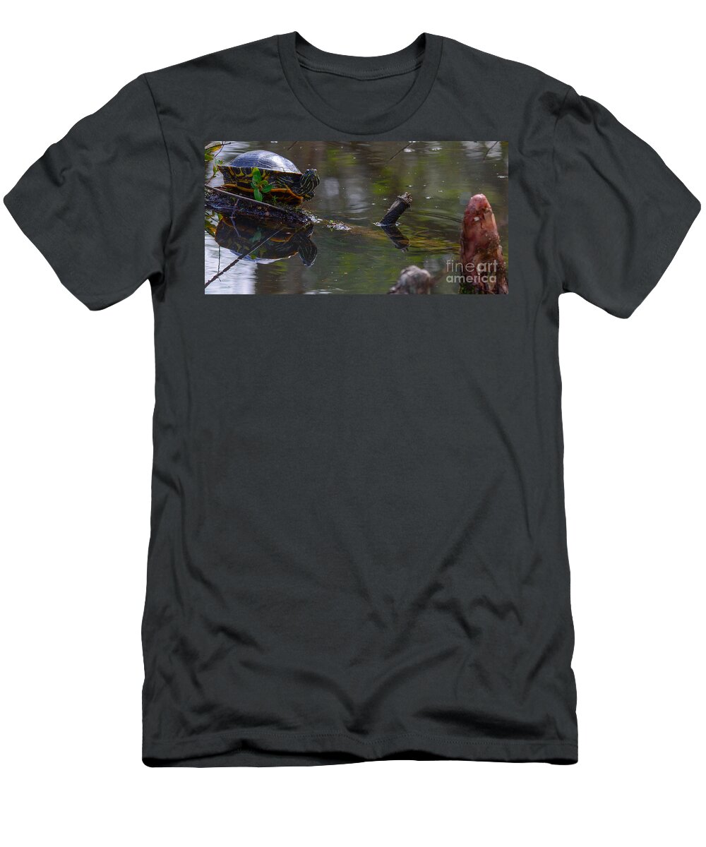 Turtle T-Shirt featuring the photograph Lookin at you by Barry Bohn
