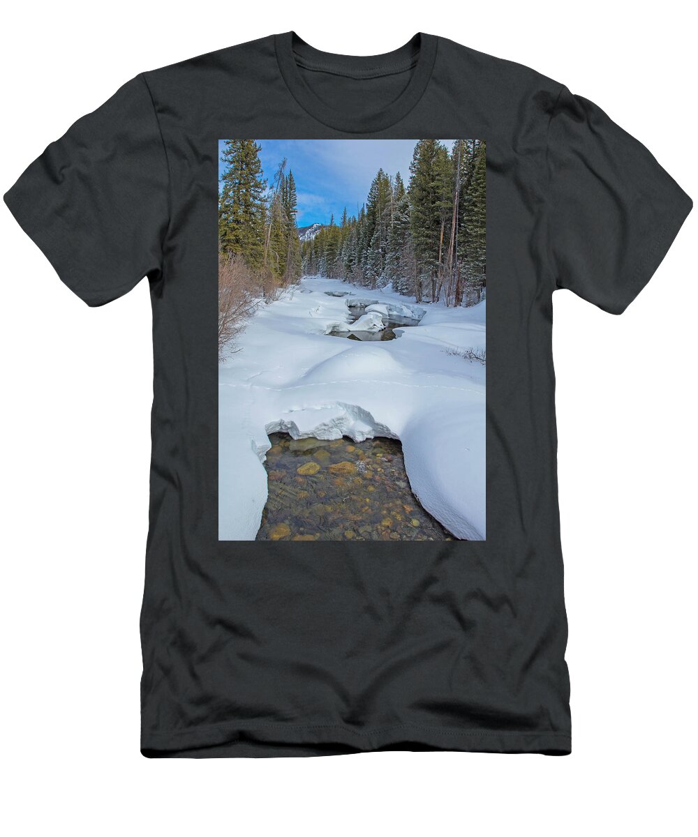 Mountain T-Shirt featuring the photograph Looking Down the Elk by Sean Allen