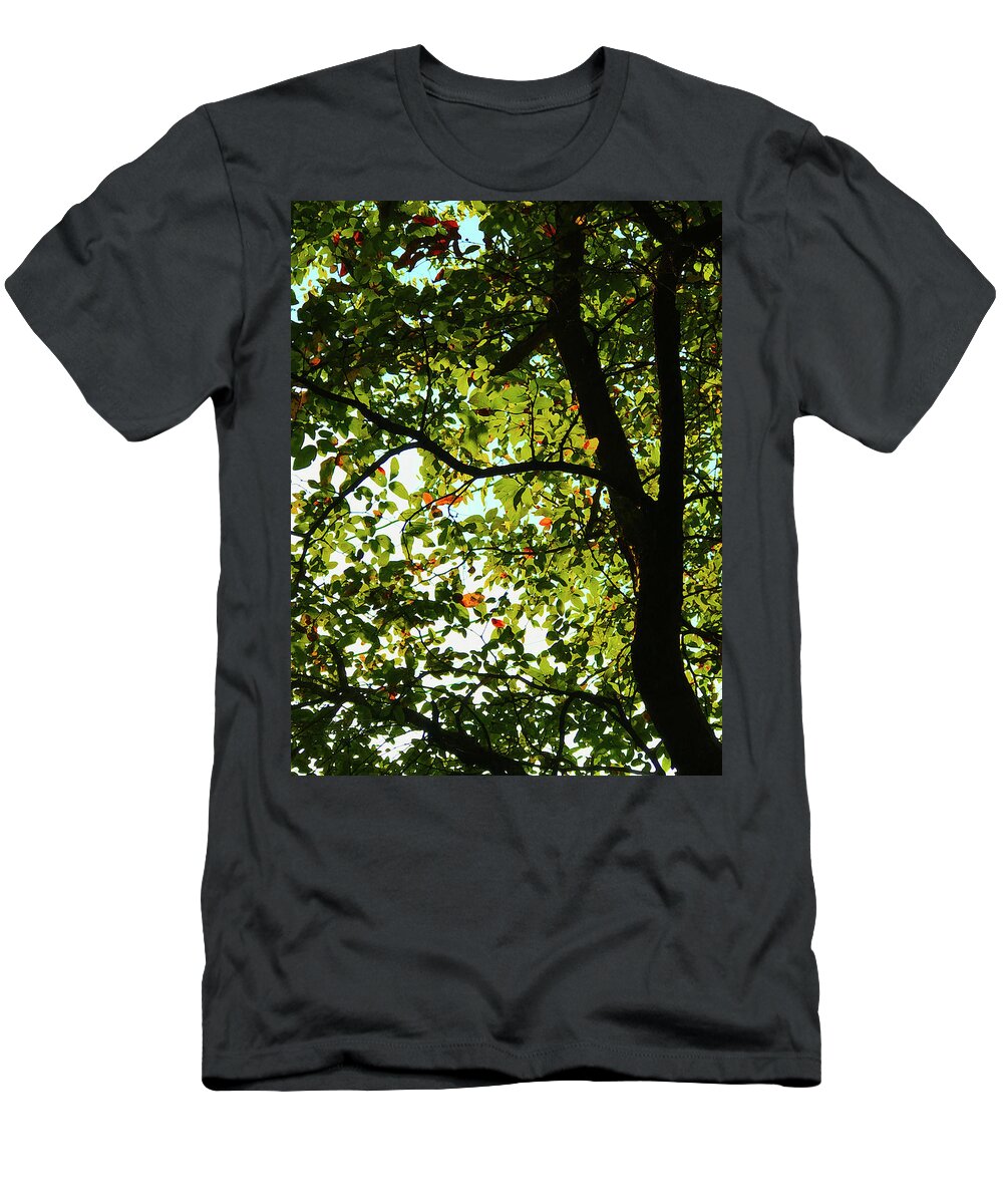  T-Shirt featuring the photograph Looking Thru The Leaves Three by Robert J Sadler
