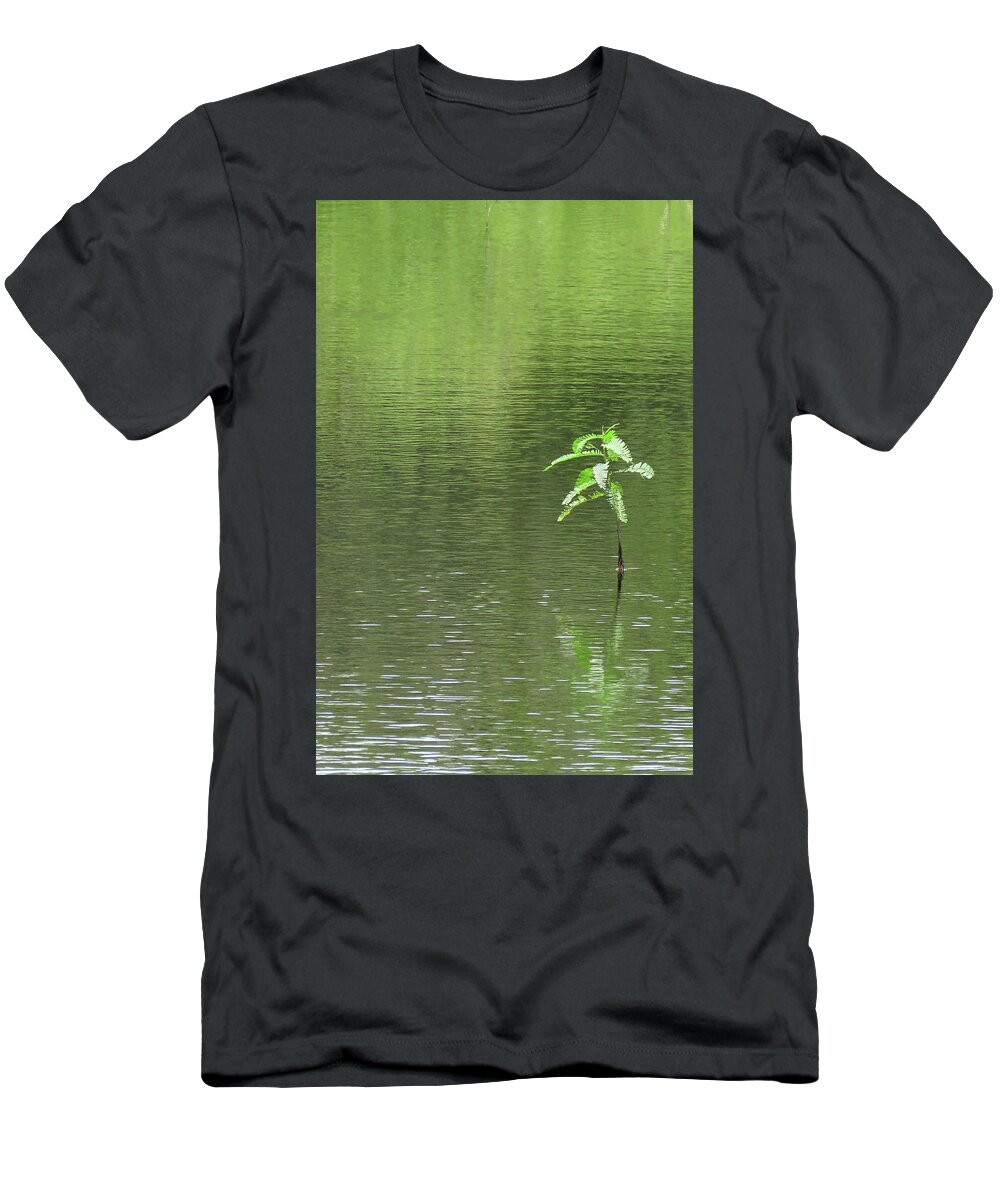 Plant T-Shirt featuring the photograph Lost by Rosalie Scanlon