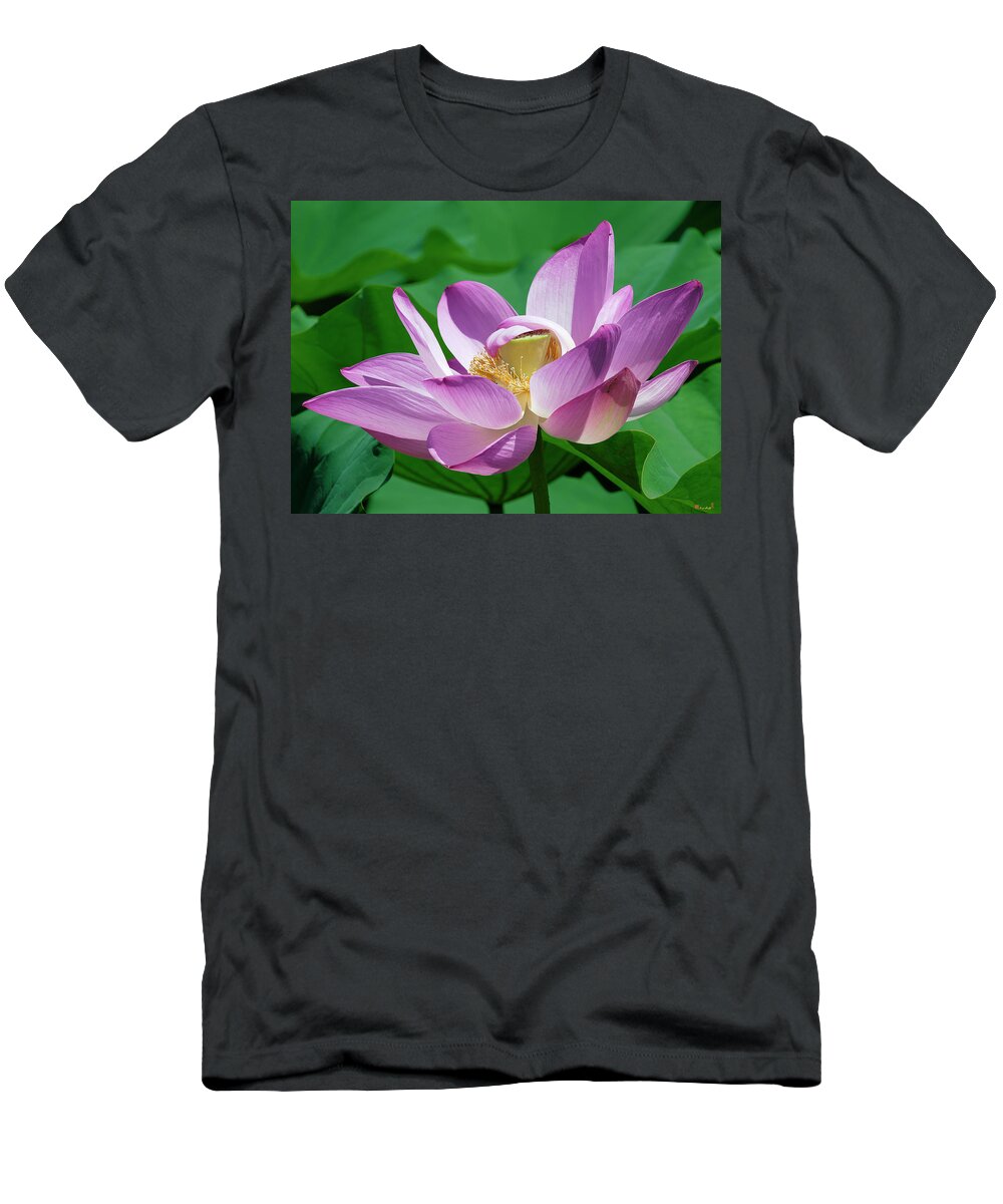 Lotus T-Shirt featuring the photograph Lotus--Center of Being--Protective Covering ii DL0088 by Gerry Gantt