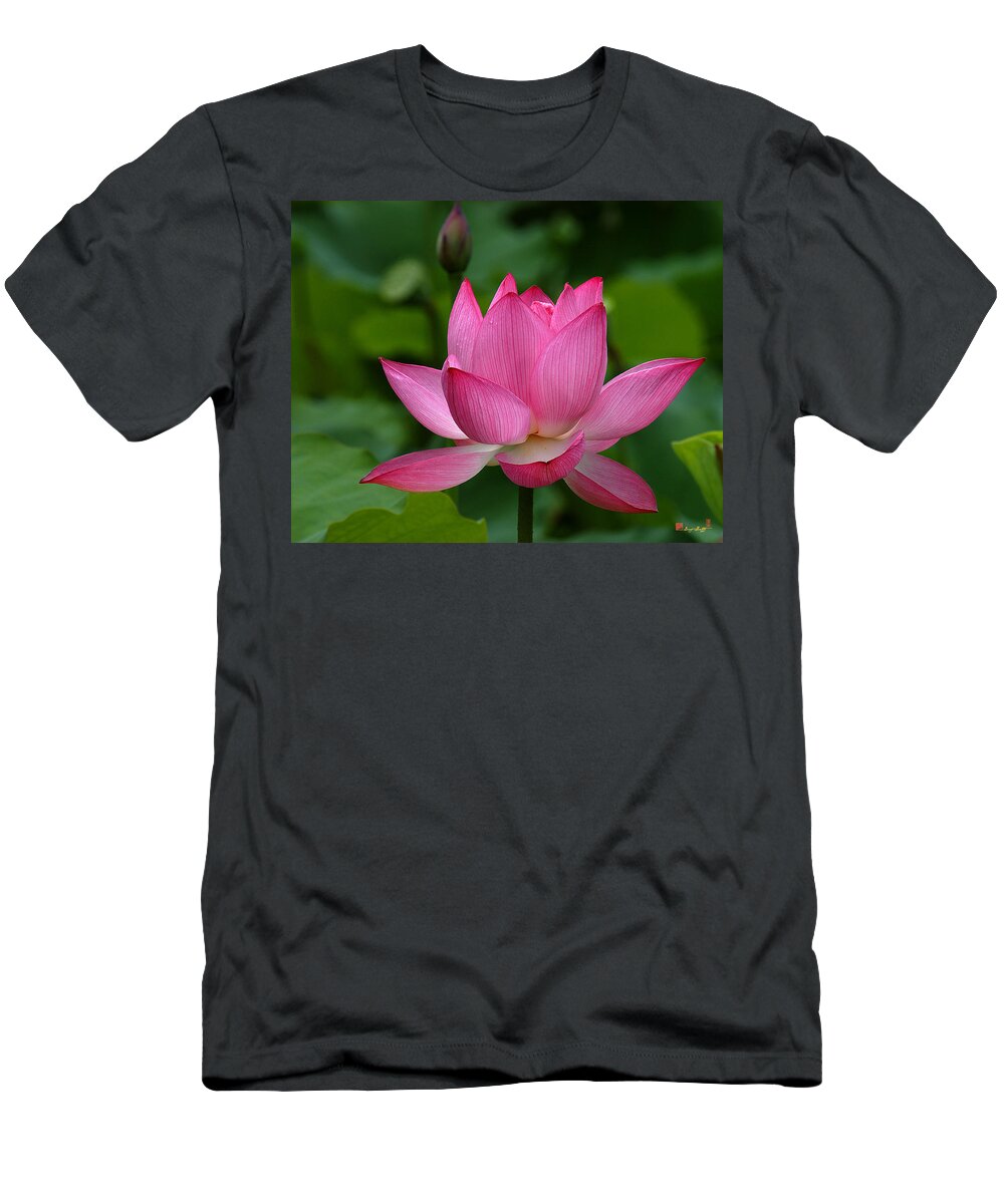 Nature T-Shirt featuring the photograph Lotus--Shades of Past and Future DL029 by Gerry Gantt