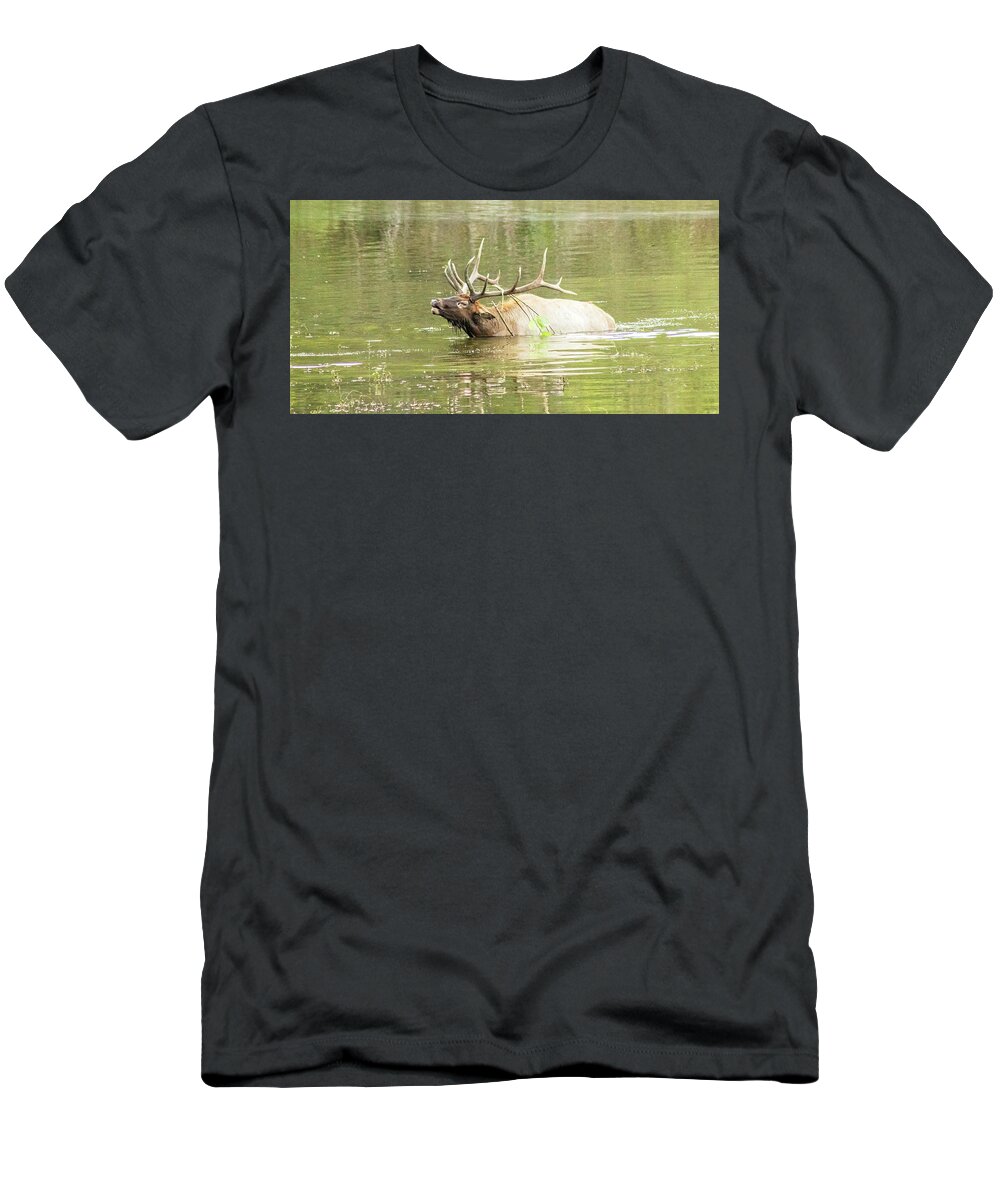 Elk T-Shirt featuring the photograph Love Songs by Holly Ross