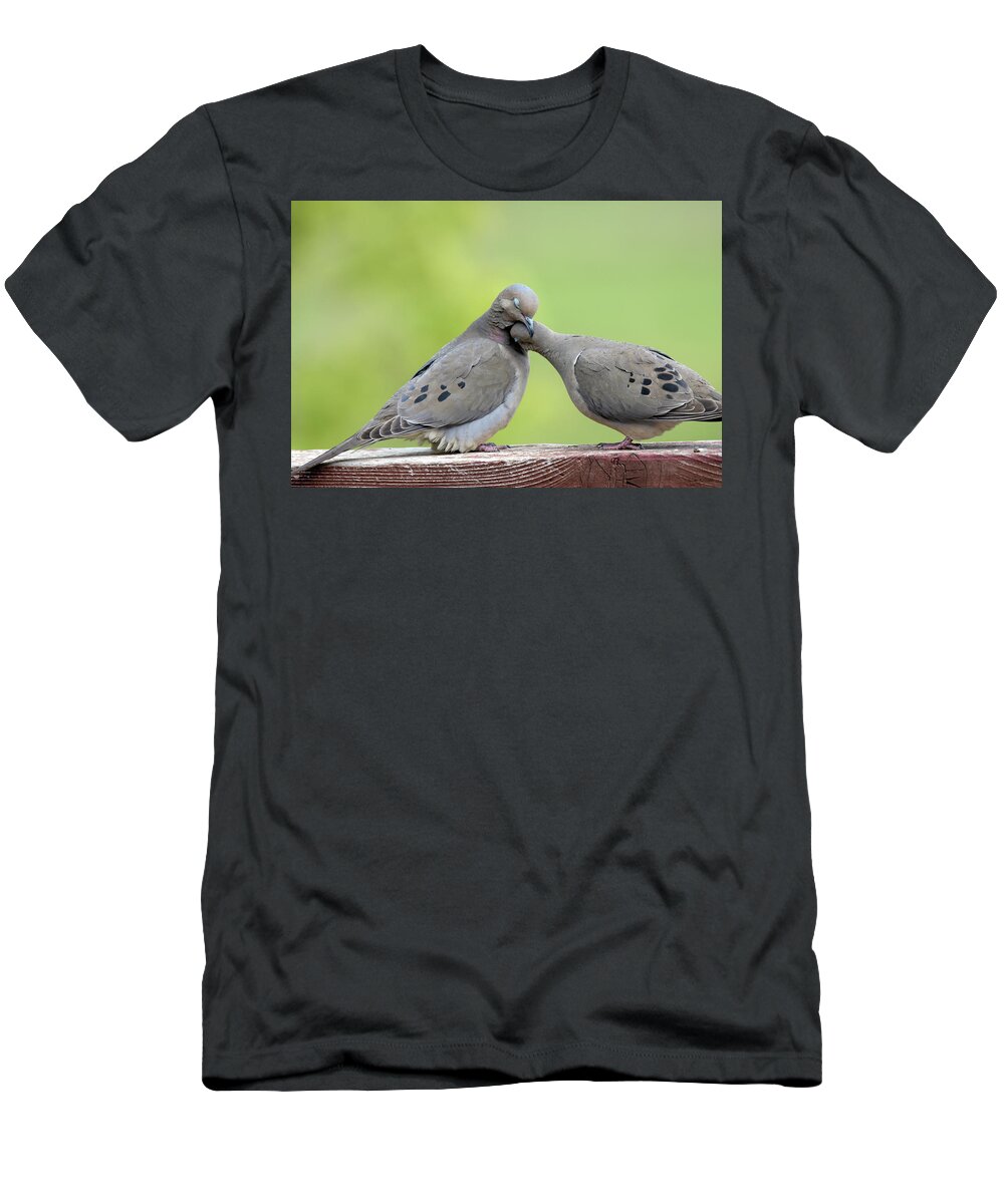 Mourning Doves T-Shirt featuring the photograph Lovey Doveys by Judi Dressler