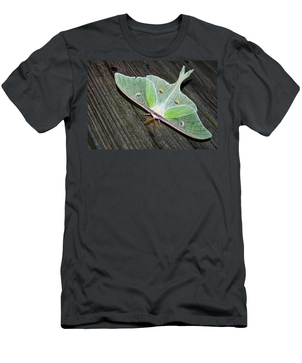 Luna T-Shirt featuring the photograph Luna Moth by Amber Flowers