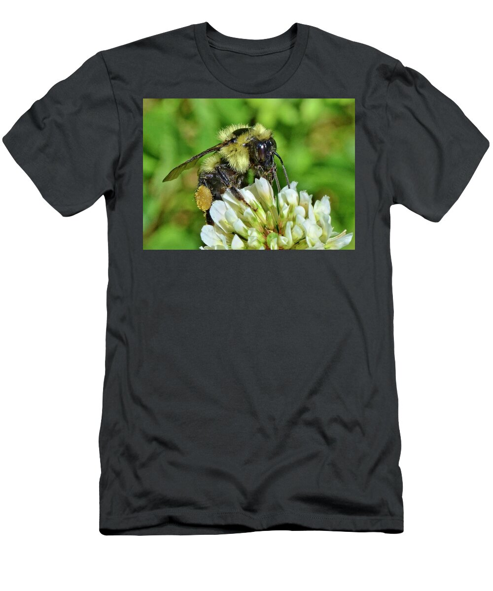 Bumblebee T-Shirt featuring the photograph Lunch in the Garden by Ludwig Keck