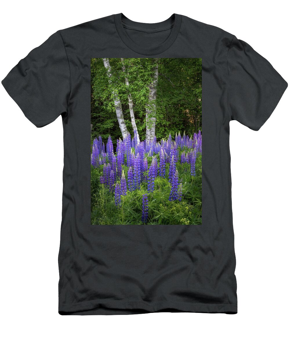 Sugar Hill T-Shirt featuring the photograph Lupine and Birch Tree by Bill Wakeley