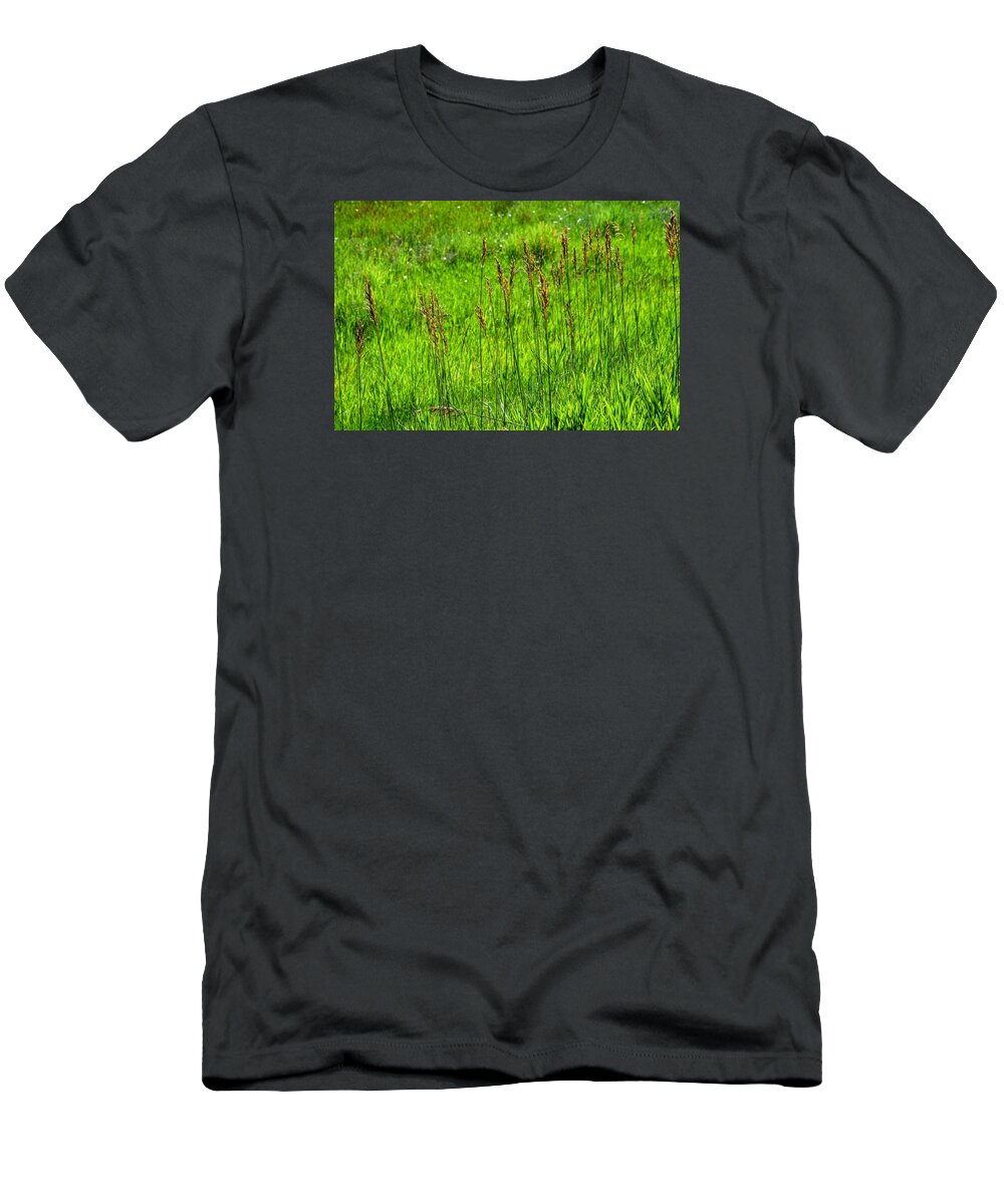 Grass T-Shirt featuring the photograph Lush July by Michael Brungardt