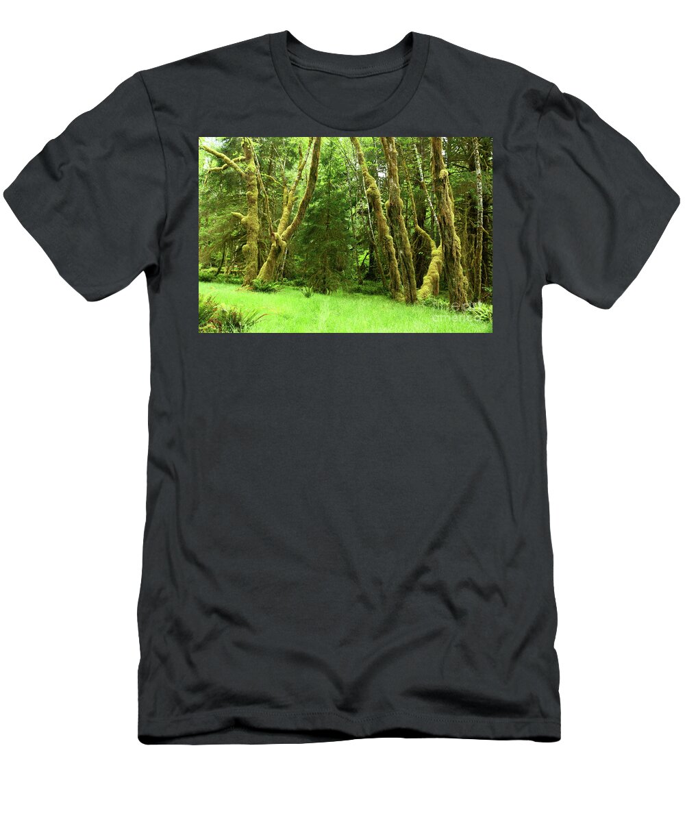 Fern T-Shirt featuring the photograph Lush Rain Forest by Christiane Schulze Art And Photography