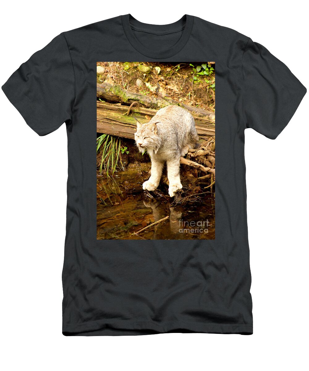 Photography T-Shirt featuring the photograph Lynx Canadensis by Sean Griffin
