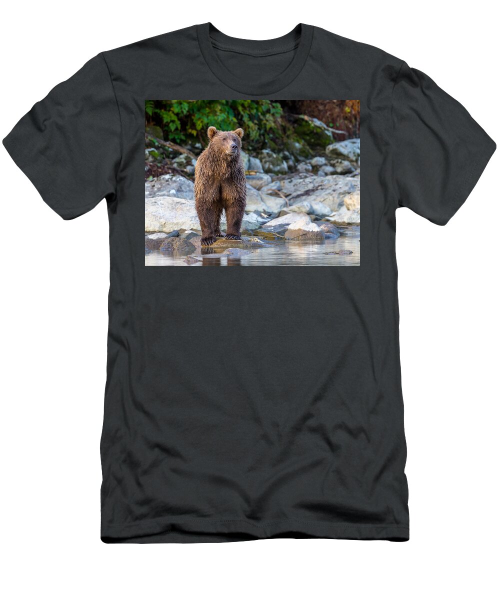 Alaska T-Shirt featuring the photograph Majestic by Kevin Dietrich