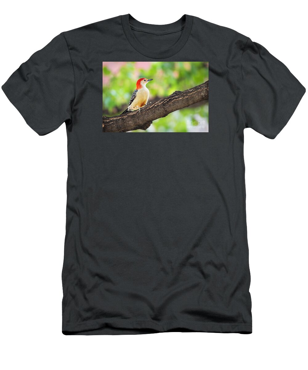Nature T-Shirt featuring the photograph Male Red-Bellied Woodpecker by Sharon McConnell