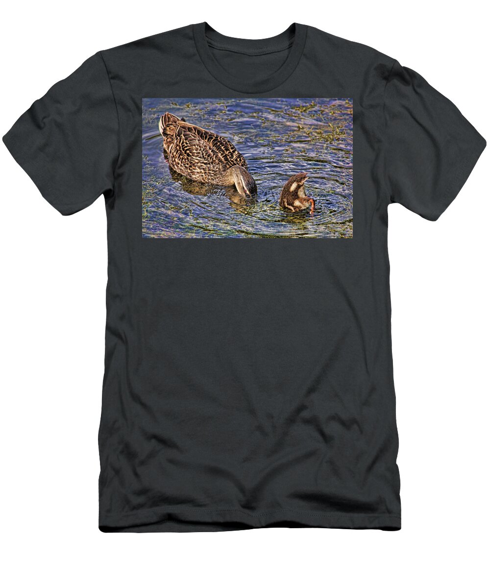 Mallard T-Shirt featuring the photograph Mallard Mom And Baby by HH Photography of Florida