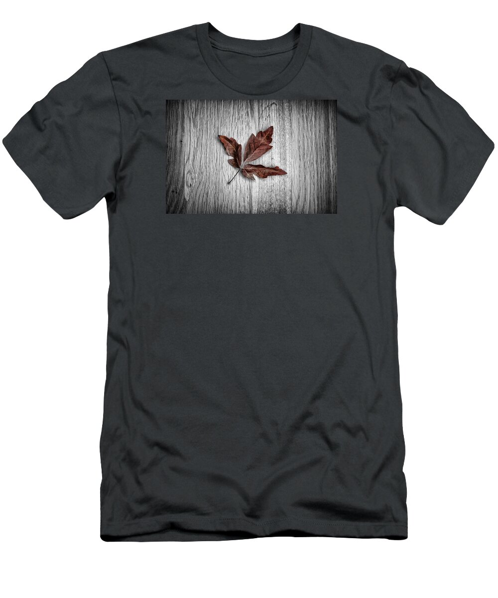 Maple T-Shirt featuring the photograph Maple Leaf by Nigel R Bell