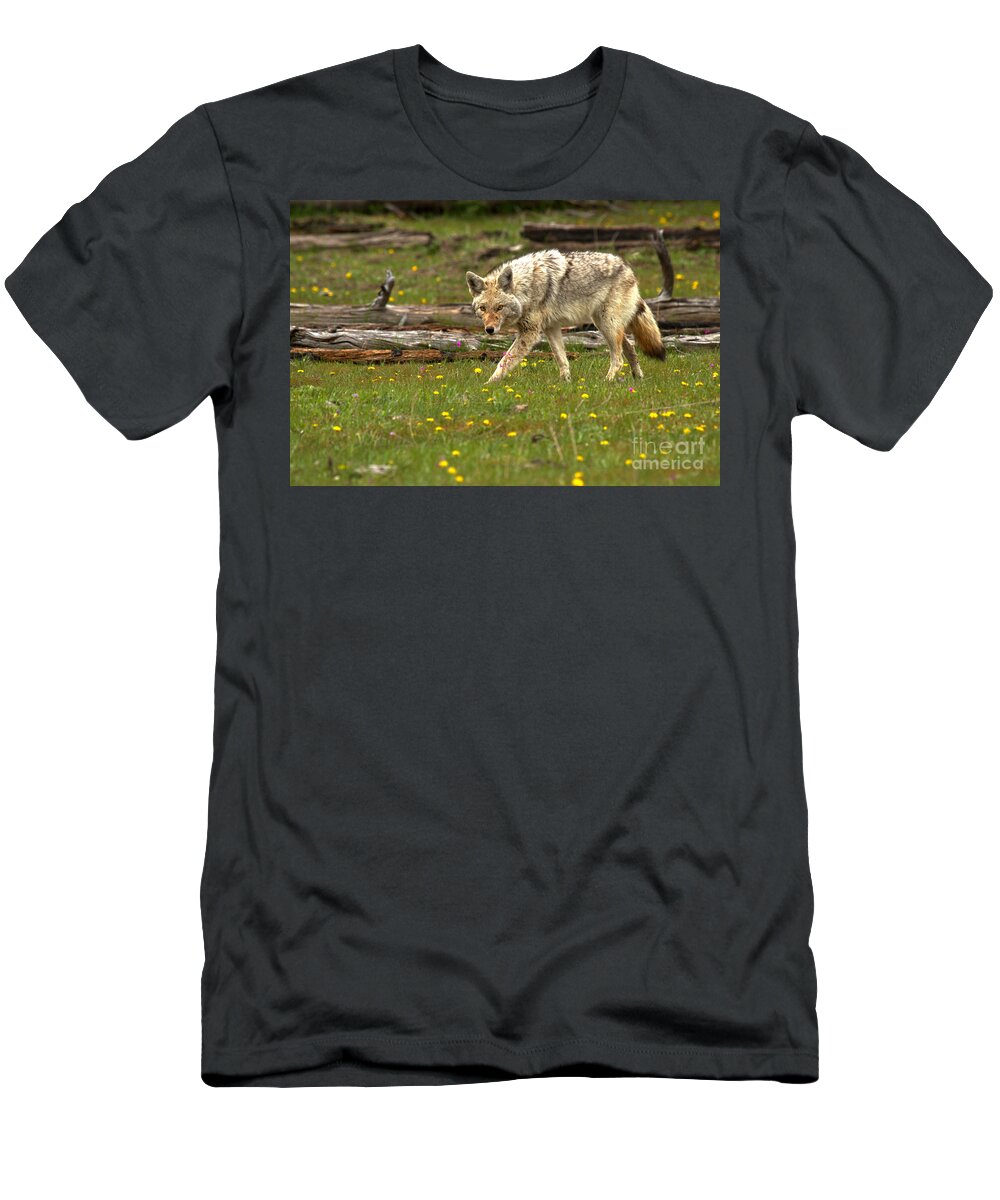 Coyote T-Shirt featuring the photograph Marching Among The Dandelions by Adam Jewell