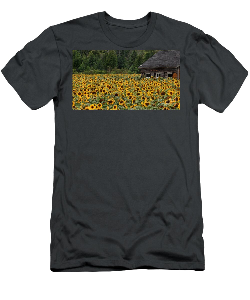 Flower T-Shirt featuring the photograph So Many Faces by Terry Doyle