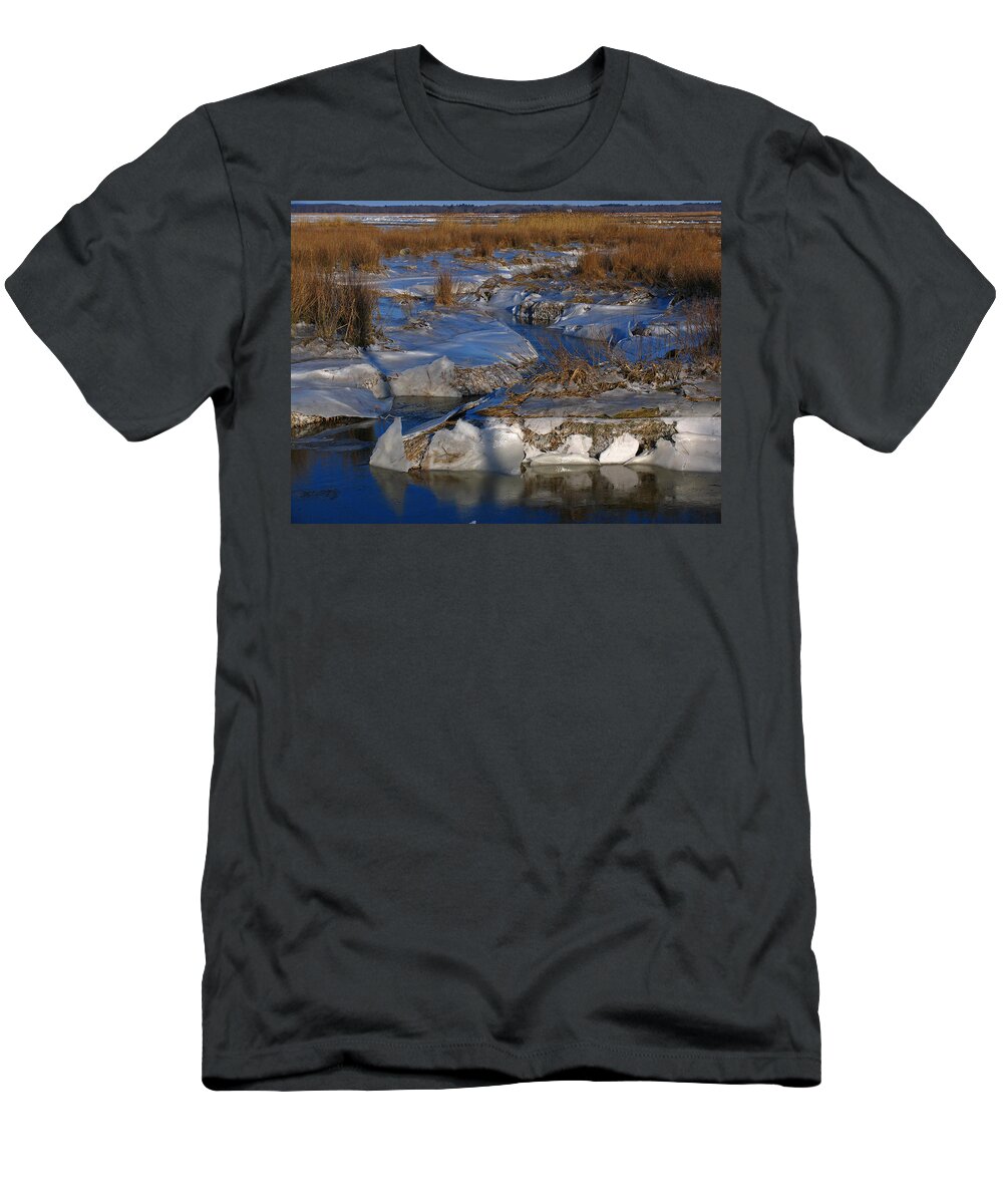Marsh T-Shirt featuring the photograph Marsh Channels on Plum Island by Juergen Roth