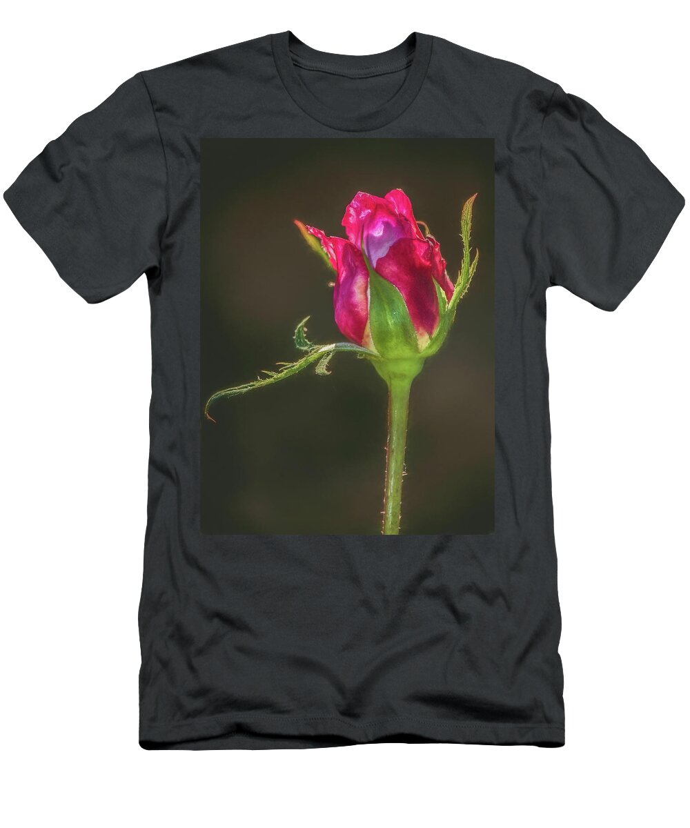 Beautiful T-Shirt featuring the photograph May I Have This Dance by Teresa Wilson