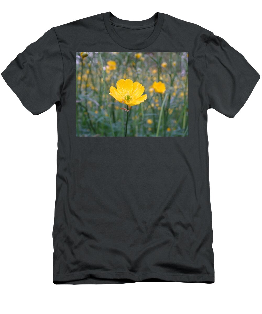 Buttercup T-Shirt featuring the photograph Meadow buttercup by Susan Baker