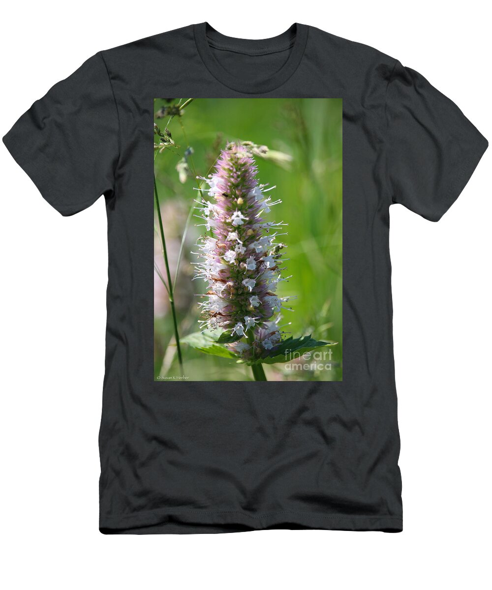 Gallatin Forest T-Shirt featuring the photograph Meadow Marvels by Susan Herber