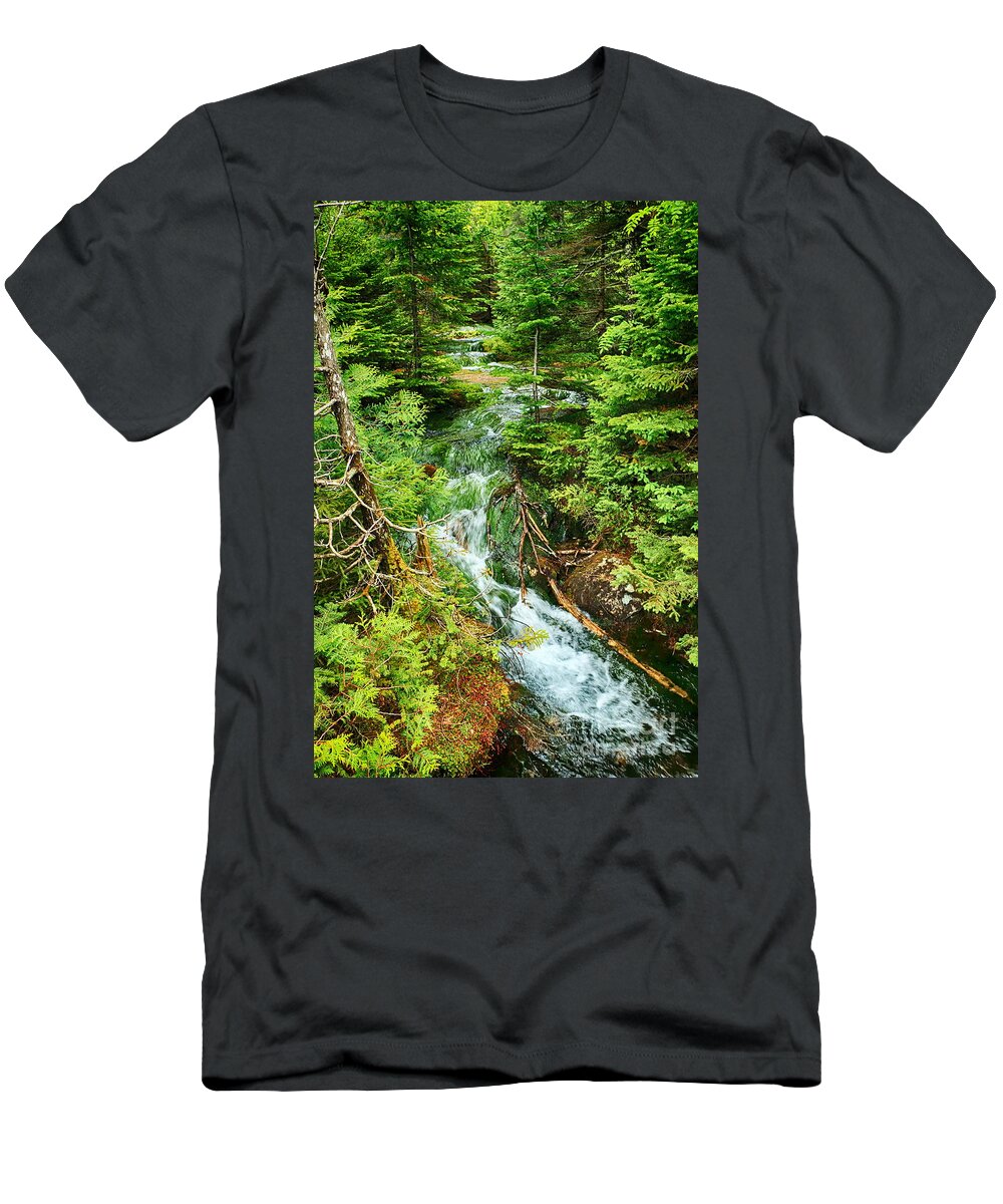 Waterfall T-Shirt featuring the photograph Meandering Waterfall by Elizabeth Dow