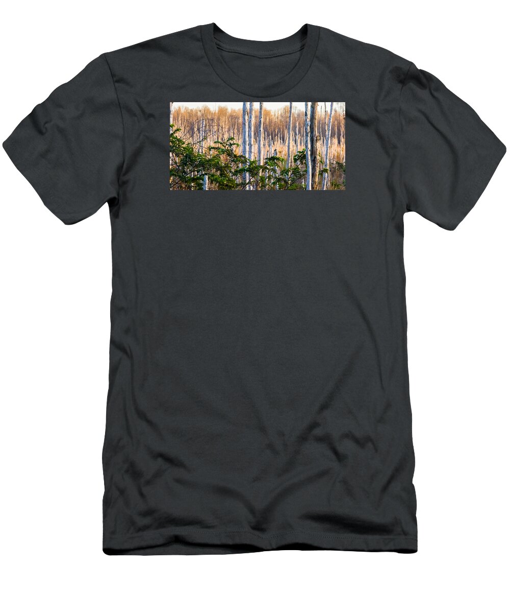Bark T-Shirt featuring the photograph Melaleuca Forest by Ed Gleichman