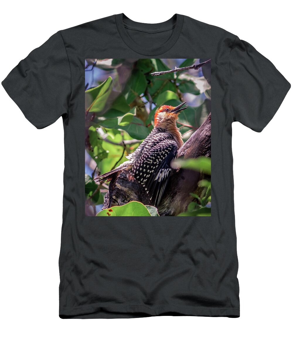 America T-Shirt featuring the photograph Melanerpes carolinus by Traveler's Pics