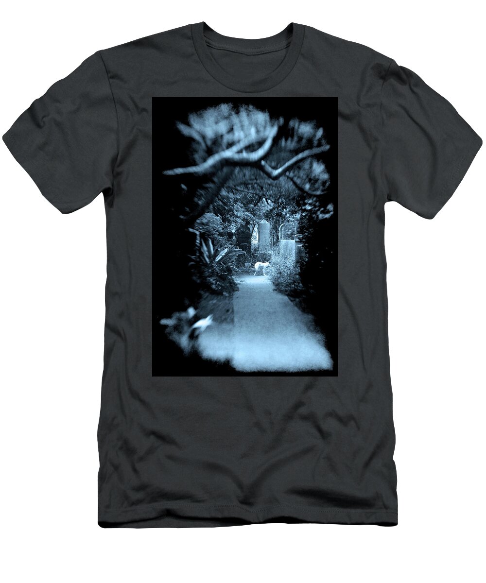 White Wolf Graveyard Overhanging Trees Oak Live Overgrown Blue Cyan Midnight Animal Mysterious Haunted Haunting Tombstones Graves Gravestones Path Selected Focus Scary Dark T-Shirt featuring the photograph Midnight Wolf in the Cemetery by Jennifer Wright