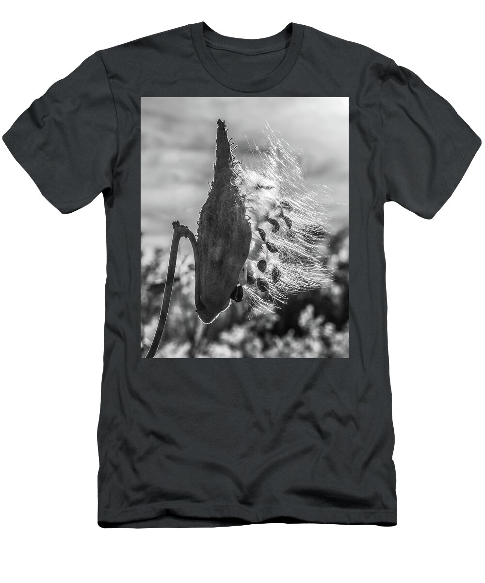 Milkweed T-Shirt featuring the photograph Milkweed Pod Back Lit B and W by Lon Dittrick