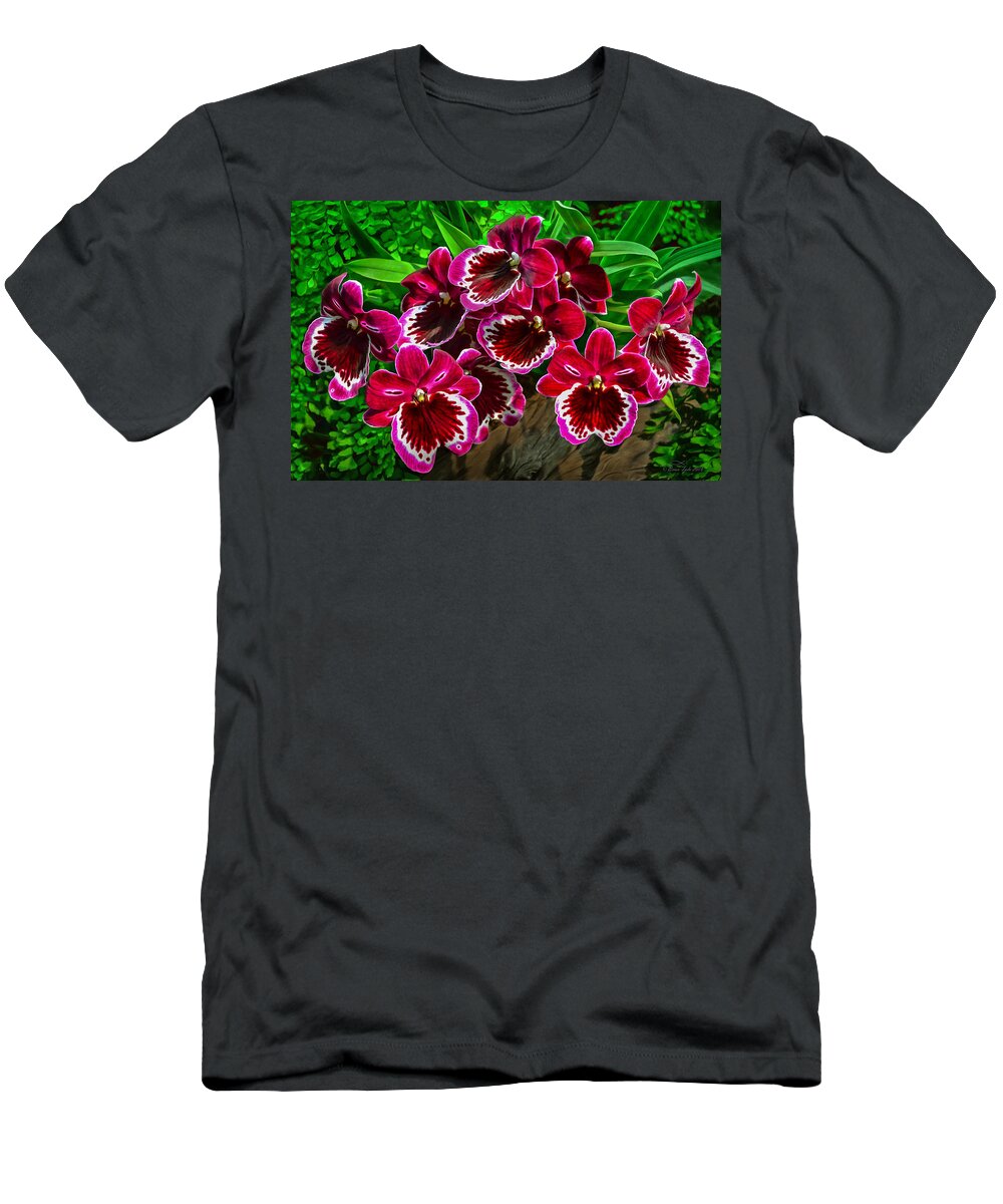 Miltoniopsis T-Shirt featuring the photograph Miltoniopsis Orchids by Brian Tada