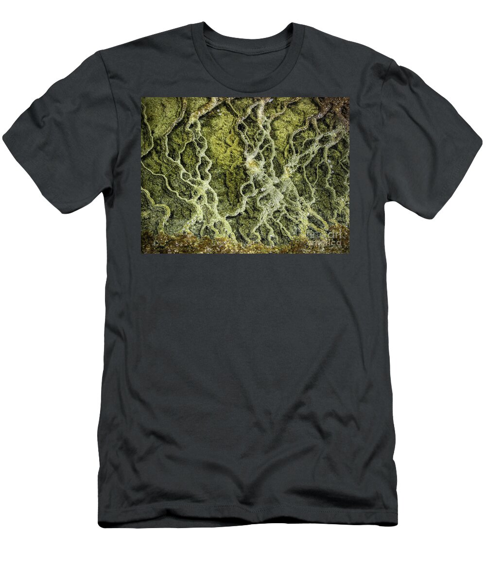 Yellowstone T-Shirt featuring the photograph Mineral Abstract by Robert Bales